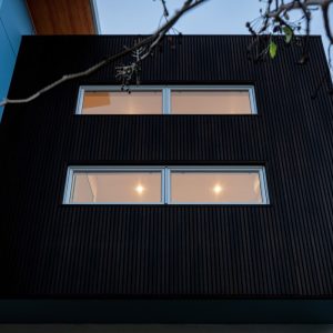 城堡型外墙挂板 乌木色